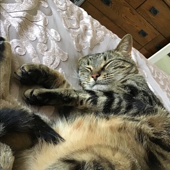 Hi! - Picture 4 of 4